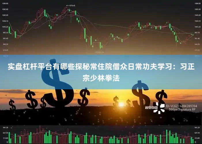 实盘杠杆平台有哪些探秘常住院僧众日常功夫学习：习正宗少林拳法