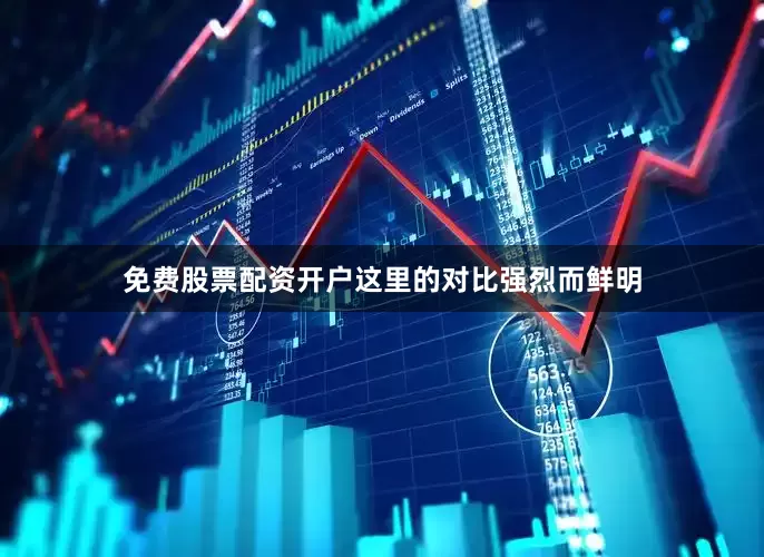 免费股票配资开户这里的对比强烈而鲜明